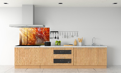 Cooker splashback Autumn forest