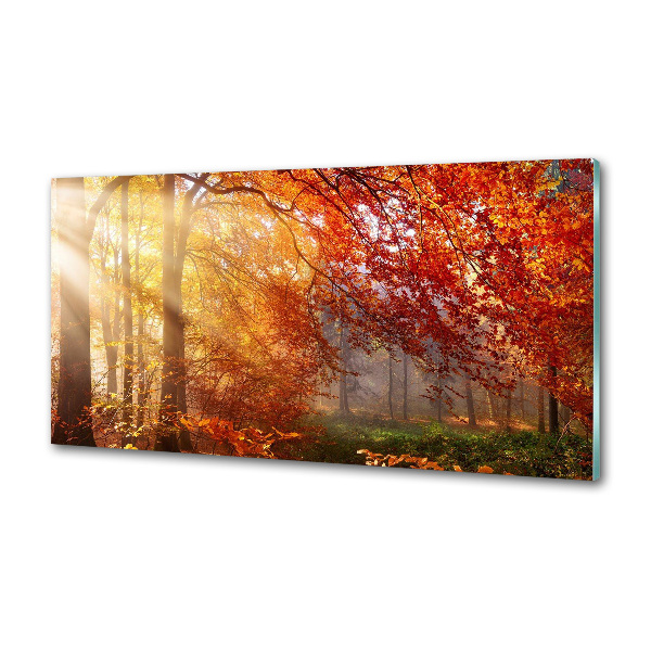 Cooker splashback Autumn forest