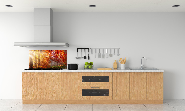 Cooker splashback Autumn forest