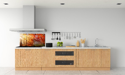 Cooker splashback Autumn forest