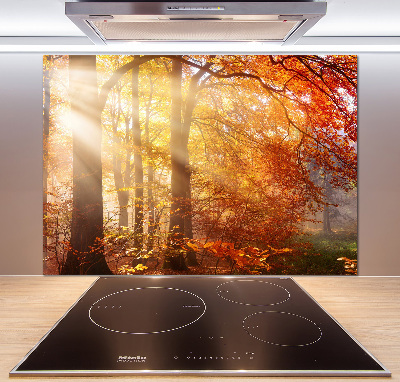 Cooker splashback Autumn forest