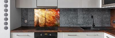 Cooker splashback Autumn forest