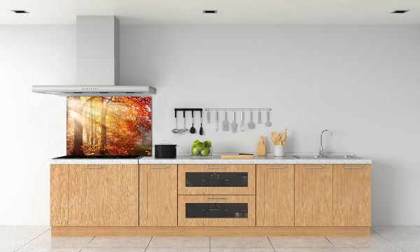 Cooker splashback Autumn forest