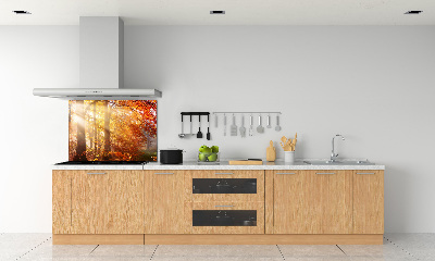 Cooker splashback Autumn forest