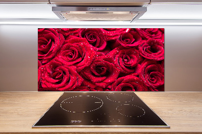 Cooker splashback Drops on roses