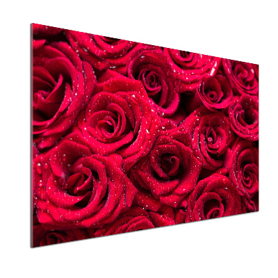 Cooker splashback Drops on roses