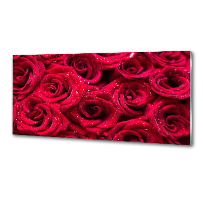 Cooker splashback Drops on roses