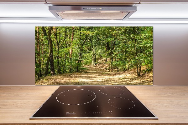 Cooker splashback Forest track