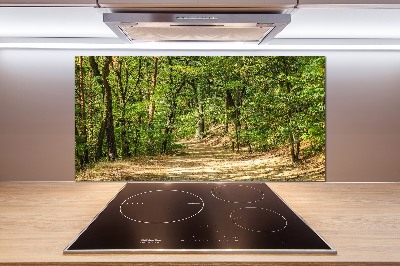 Cooker splashback Forest track