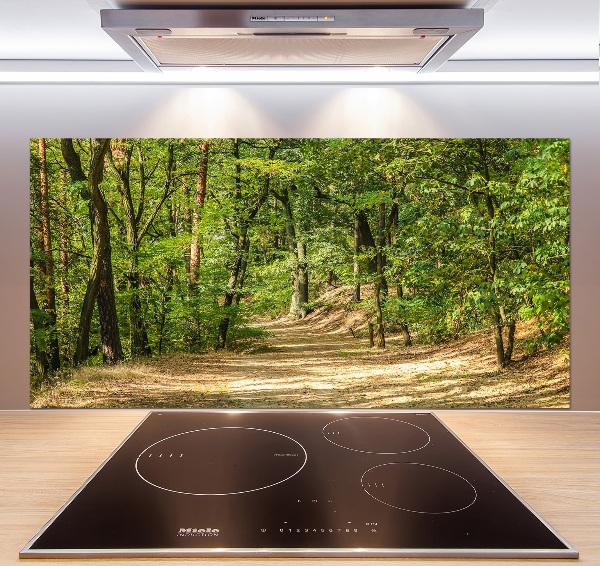 Cooker splashback Forest track