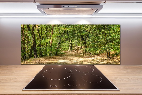 Cooker splashback Forest track