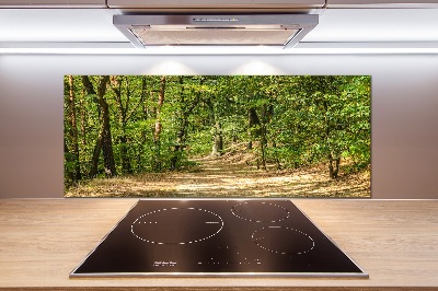 Cooker splashback Forest track