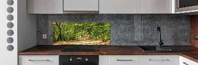 Cooker splashback Forest track