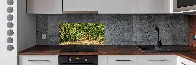 Cooker splashback Forest track