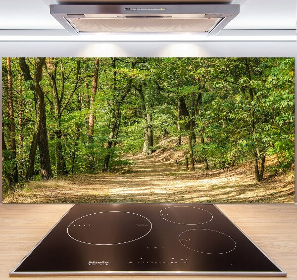 Cooker splashback Forest track