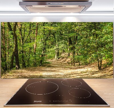 Cooker splashback Forest track