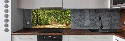 Cooker splashback Forest track