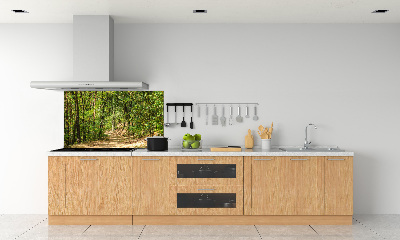 Cooker splashback Forest track