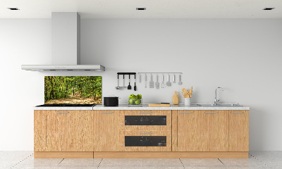 Cooker splashback Forest track