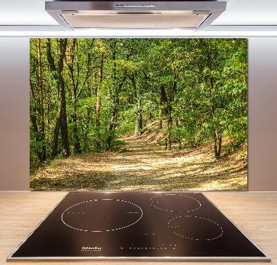 Cooker splashback Forest track