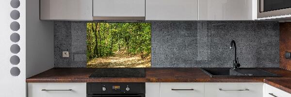 Cooker splashback Forest track