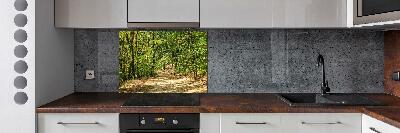 Cooker splashback Forest track