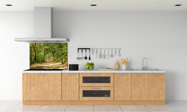 Cooker splashback Forest track