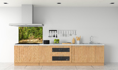 Cooker splashback Forest track