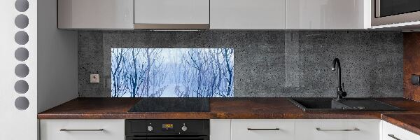 Cooker splashback Forest in winter