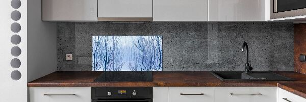 Cooker splashback Forest in winter