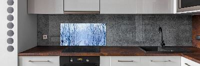 Cooker splashback Forest in winter