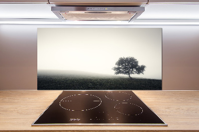 Cooker splashback Lone Tree