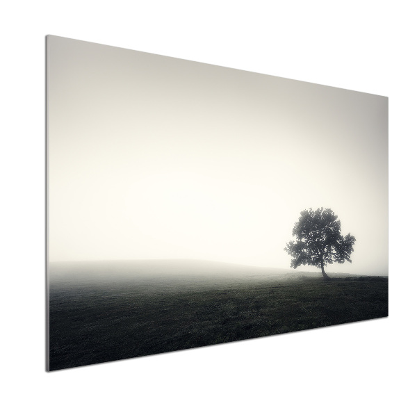 Cooker splashback Lone Tree