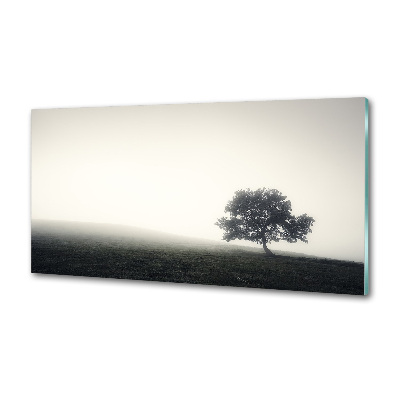 Cooker splashback Lone Tree