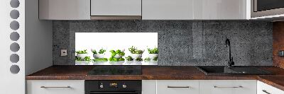 Cooker splashback Herbs