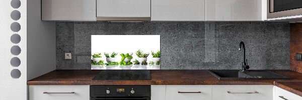 Cooker splashback Herbs