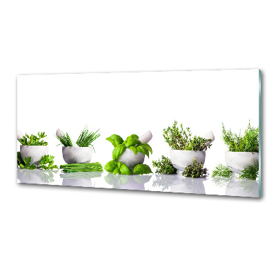 Cooker splashback Herbs