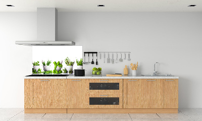 Cooker splashback Herbs