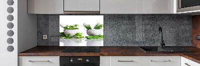 Cooker splashback Herbs