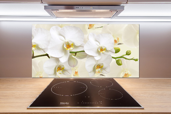 Cooker splashback Orchid