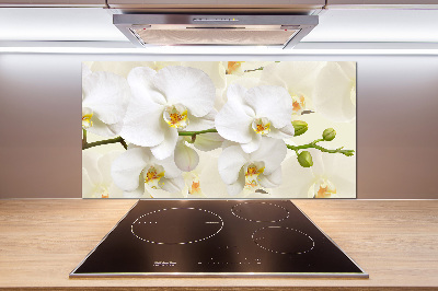 Cooker splashback Orchid