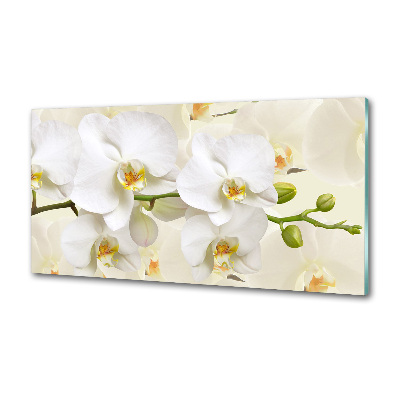 Cooker splashback Orchid