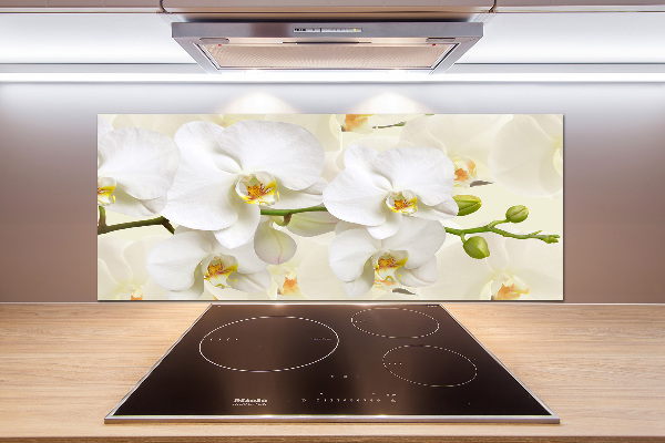 Cooker splashback Orchid