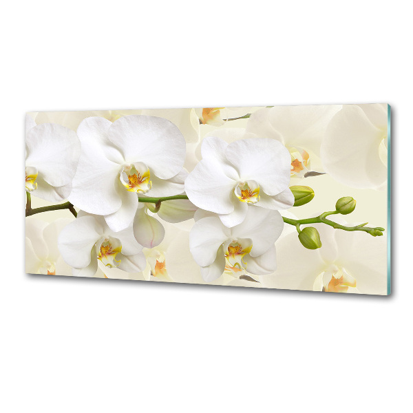 Cooker splashback Orchid