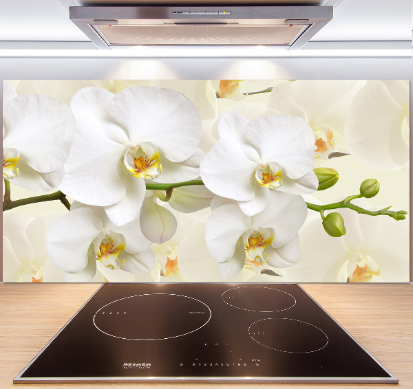 Cooker splashback Orchid