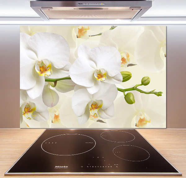 Cooker splashback Orchid