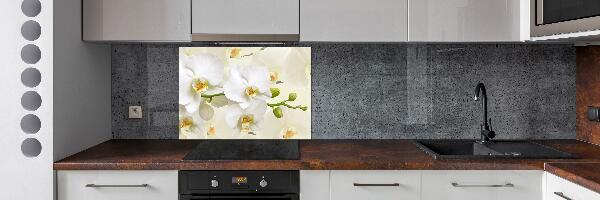 Cooker splashback Orchid