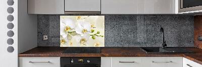 Cooker splashback Orchid