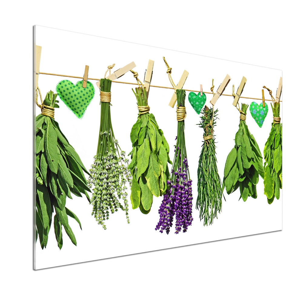 Cooker splashback Herbs on a string