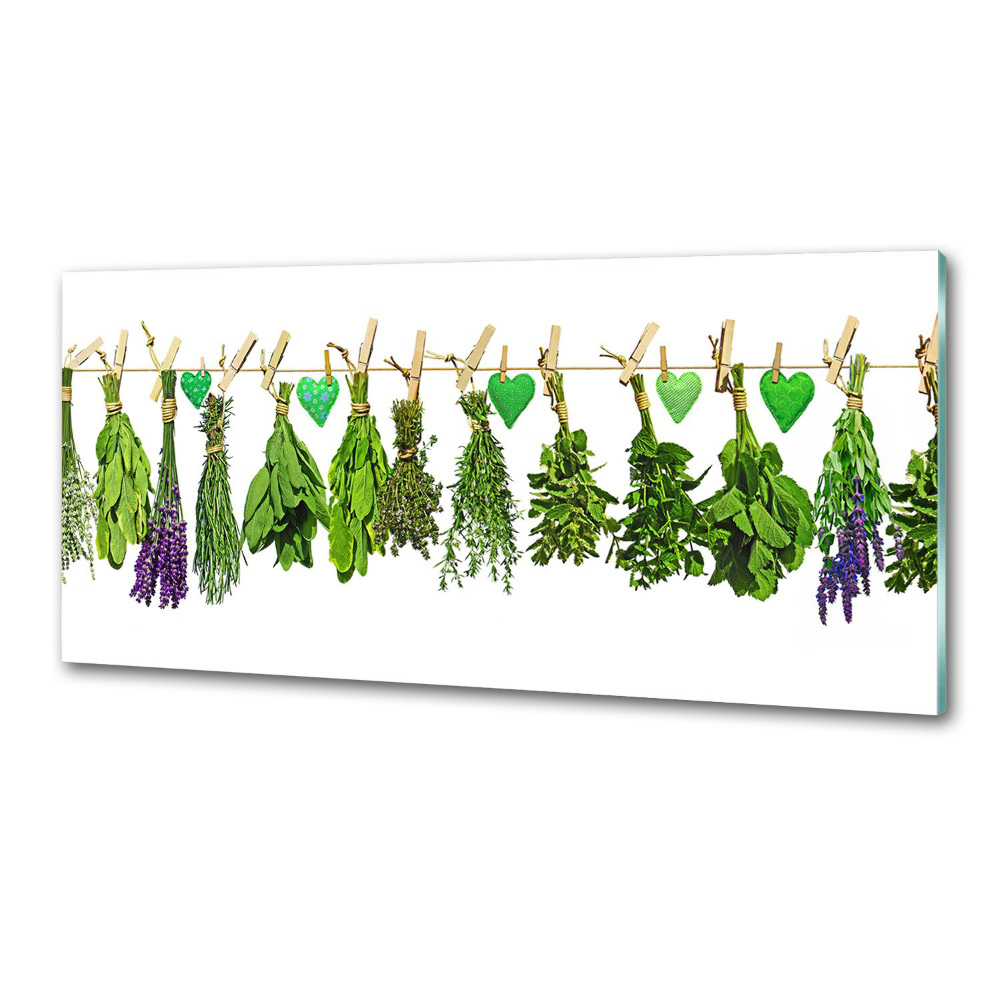 Cooker splashback Herbs on a string